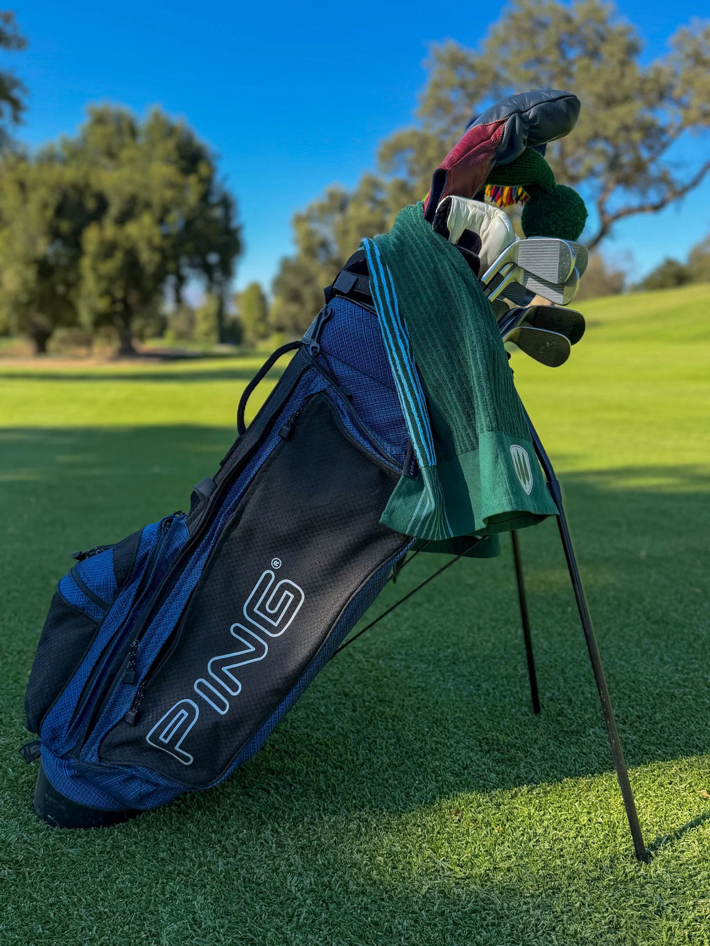 Ping Hoofer Two Navy/Black Dual Strap Stand Bag