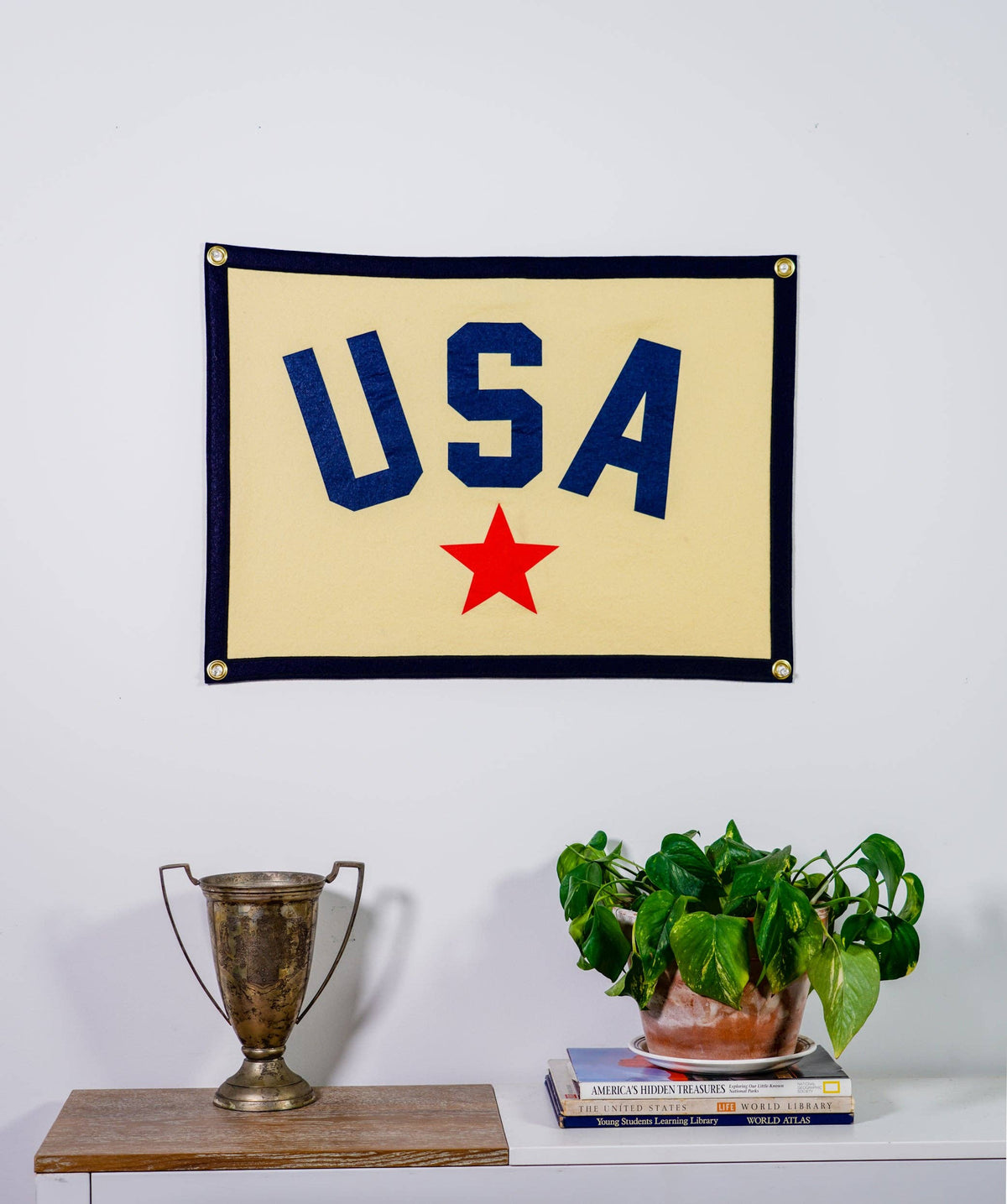 Oxford Pennant USA camp flag