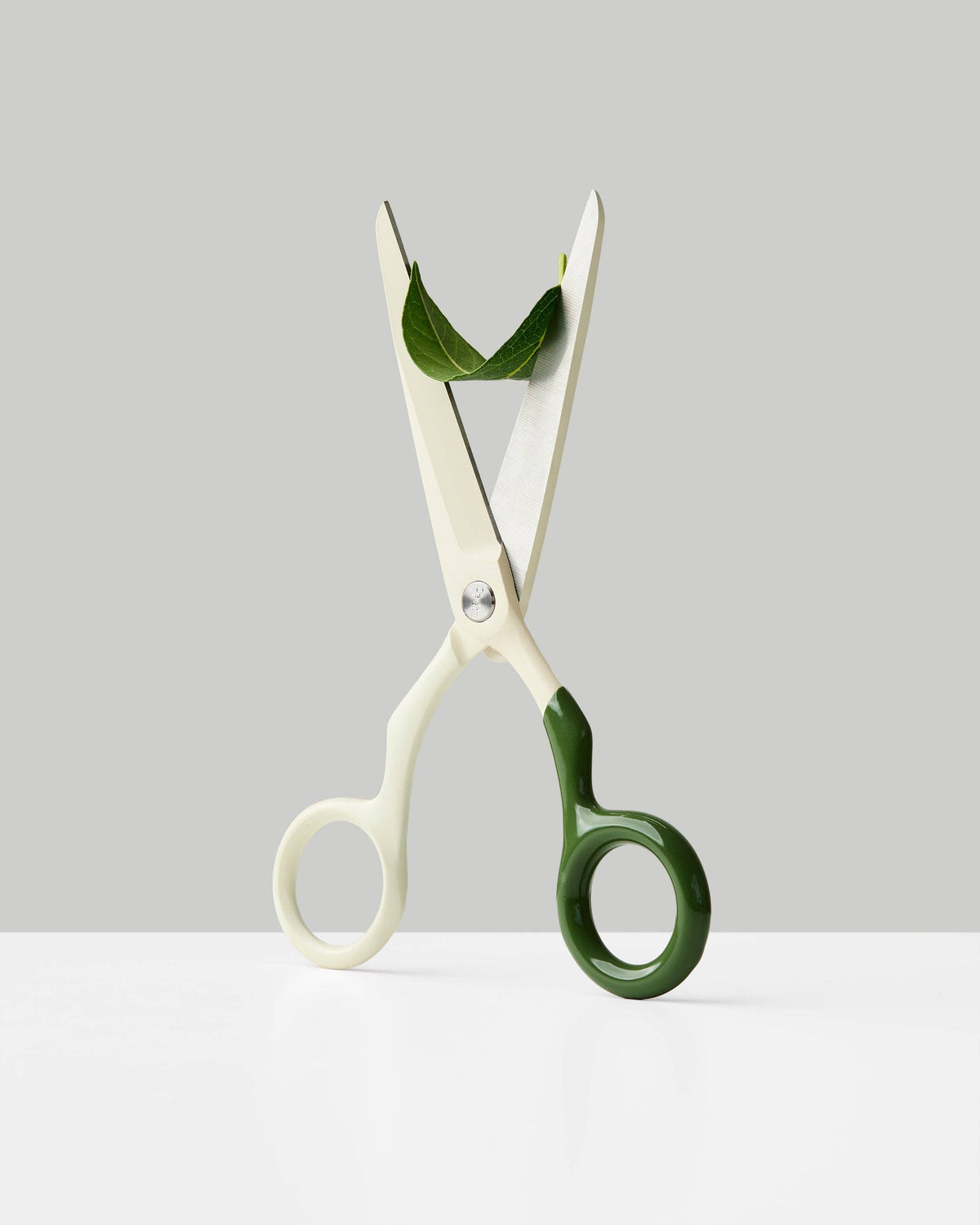 Craighill Spectra Scissors, cream and forest green