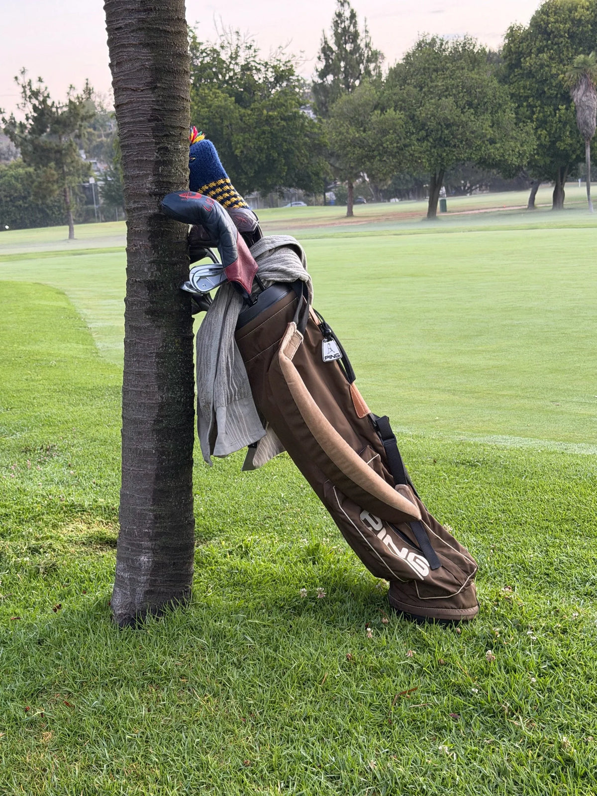 Original Ping Sunday Carry Bag