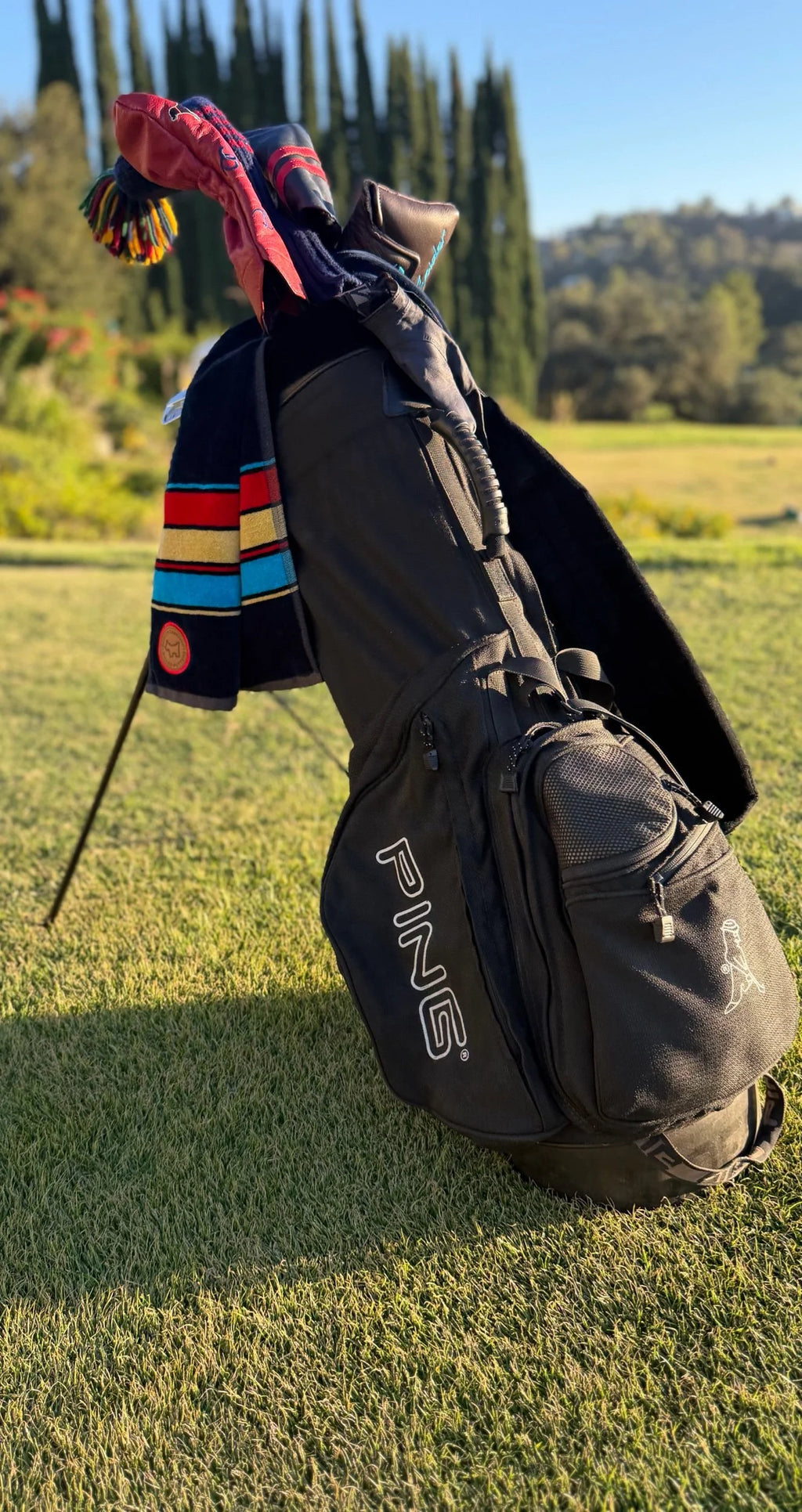 Original Hoofer Two Vintage Ping Golf Bag