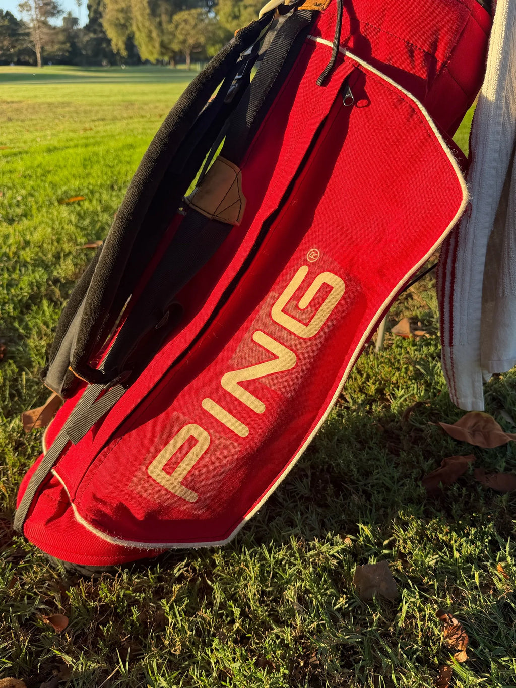 Original Dual Strap Ping L8 32" Carry Stand Bag