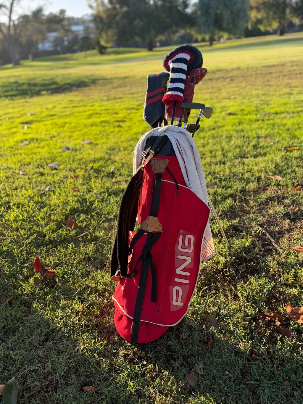 Original Dual Strap Ping L8 32" Carry Stand Bag