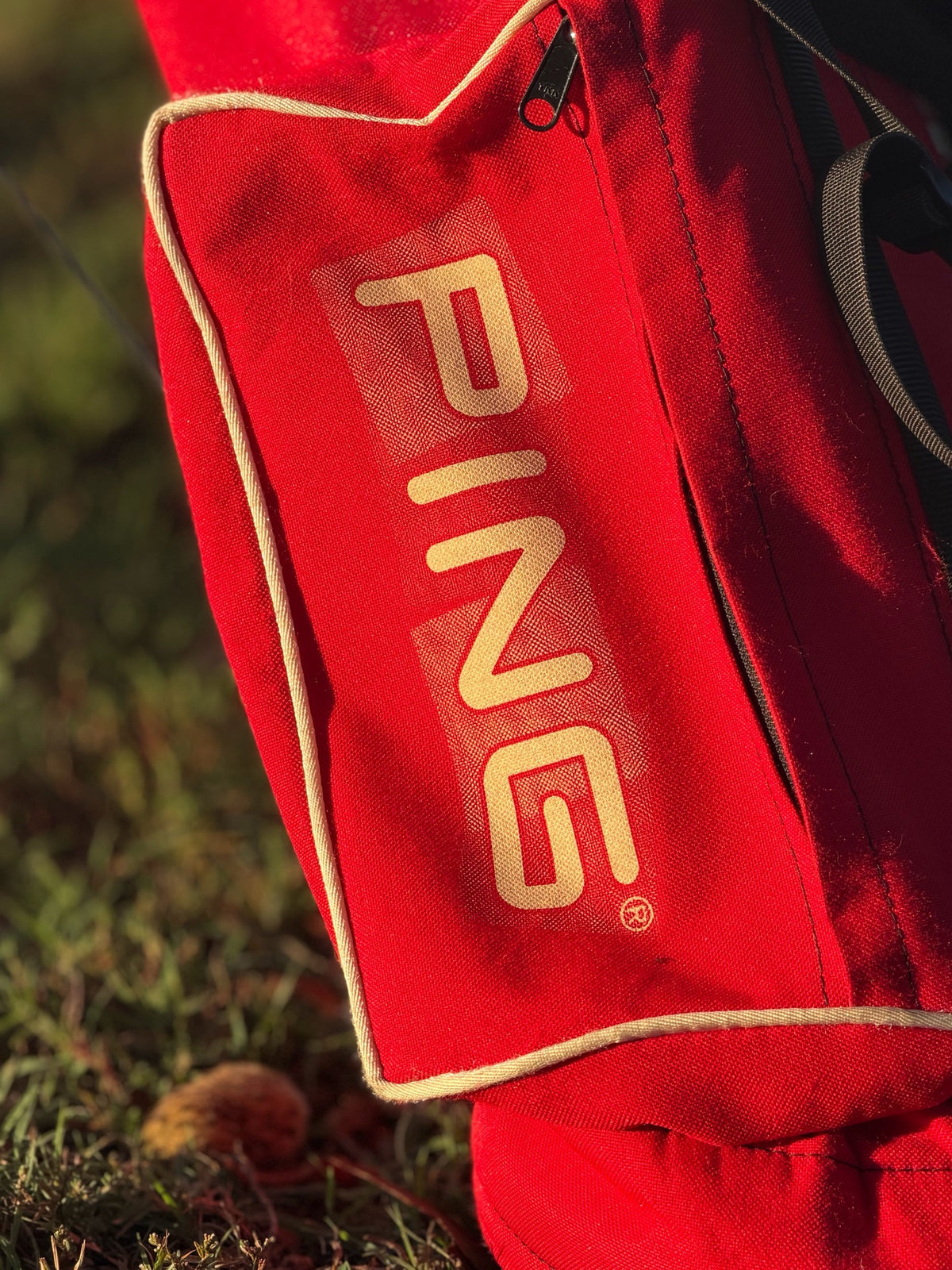 Original Dual Strap Ping L8 32" Carry Stand Bag