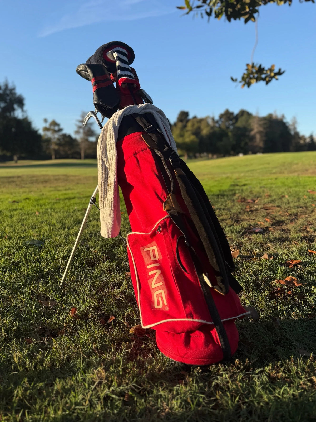 Original Dual Strap Ping L8 32" Carry Stand Bag
