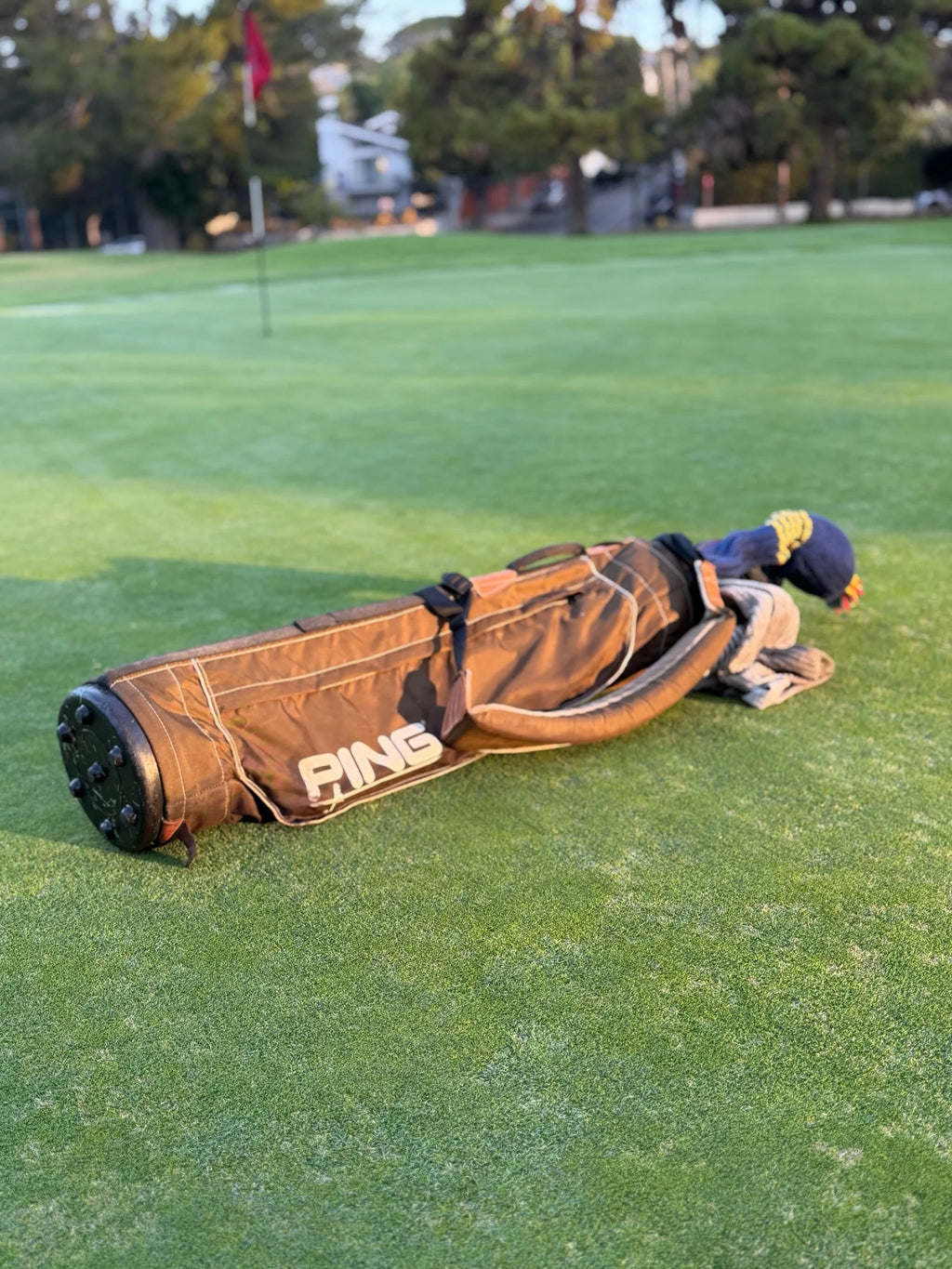 Original Ping Sunday Carry Bag