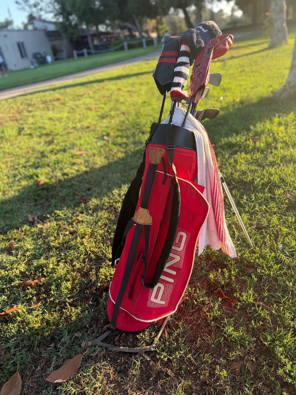 Original Dual Strap Ping L8 32" Carry Stand Bag