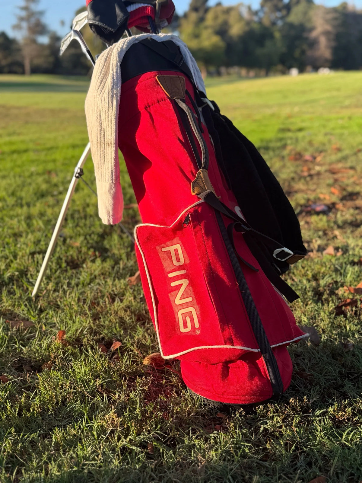 Original Dual Strap Ping L8 32" Carry Stand Bag